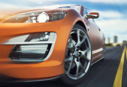 Plantlet Care: How To Pot Up and Care For Juvenile Houseplants